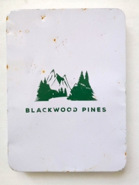 Until Dawn Press Kit